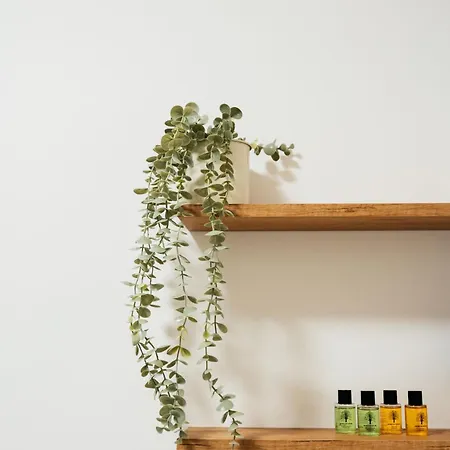 Appartement Activ Jezioro Gory