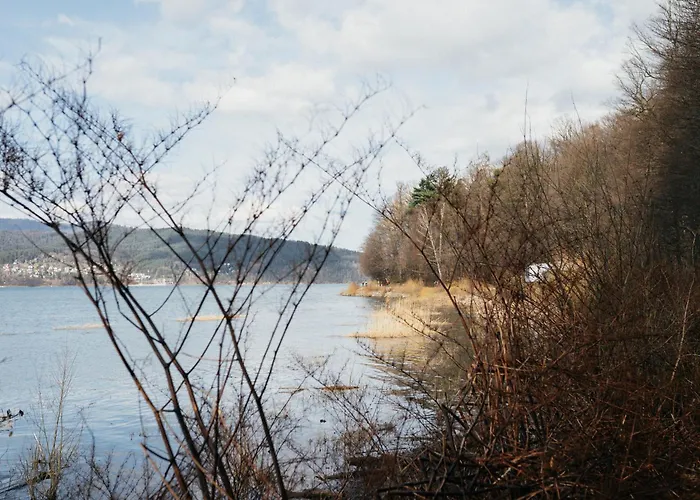 Activ Jezioro Gory *