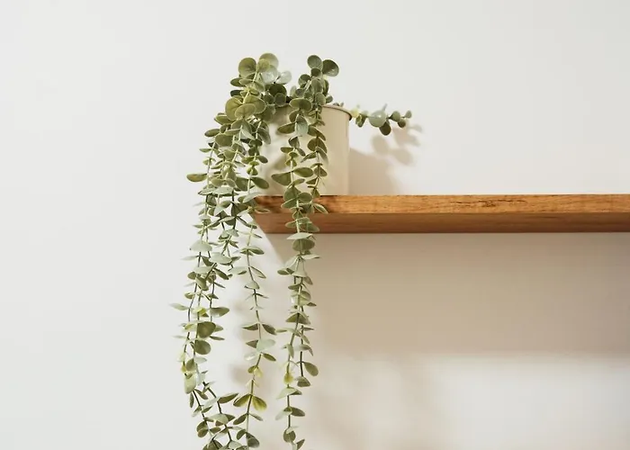 דירה Activ Jezioro Gory